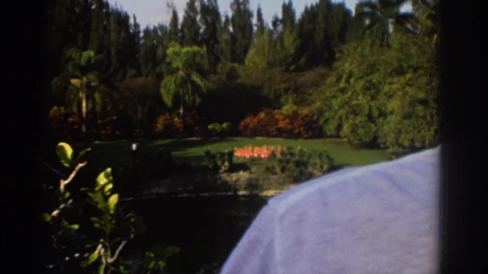 1971 Miami 8mm view of a tropical pond with a small flock of flamingos across the water, palms, dense greenery, foreground leaves, and a pale shoulder edge.