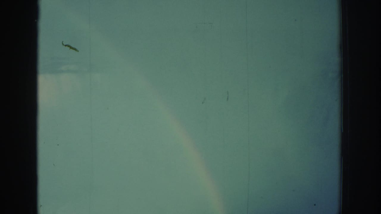 Soft rainbow crossing a misty sky above the edge of Niagara Falls with dark 8mm frame borders.