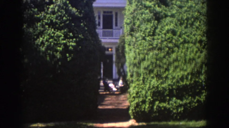 The final frame shows a bright green hedge, dark foreground trunk, and a pale porch-like structure in the Richmond park setting.