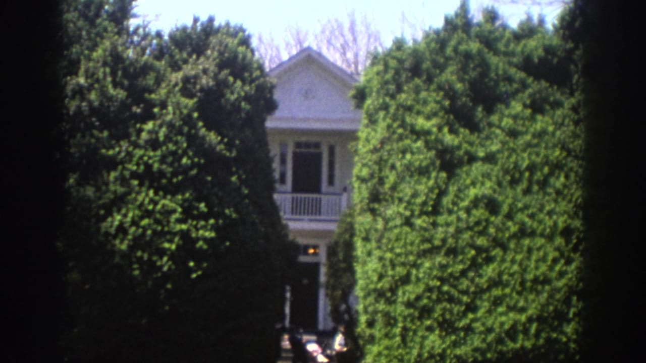 White house and porch framed by dense hedges and dark tree shadows.