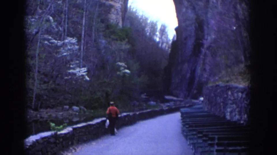 A 1971 Richmond park view shows a distant visitor walking away along a curving paved path below rock walls and leafless trees.