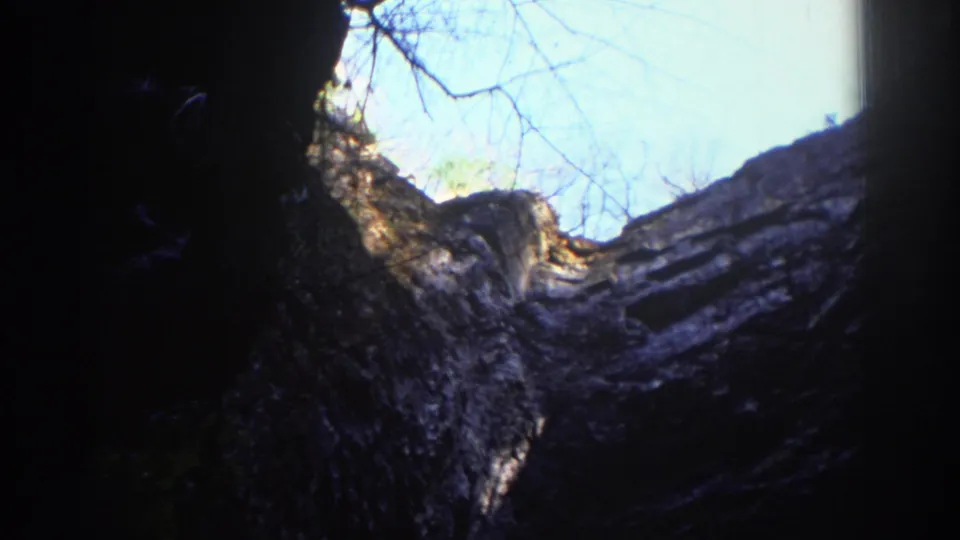 Home-movie frame looking up through a rocky formation, with bare branches silhouetted against the sky.