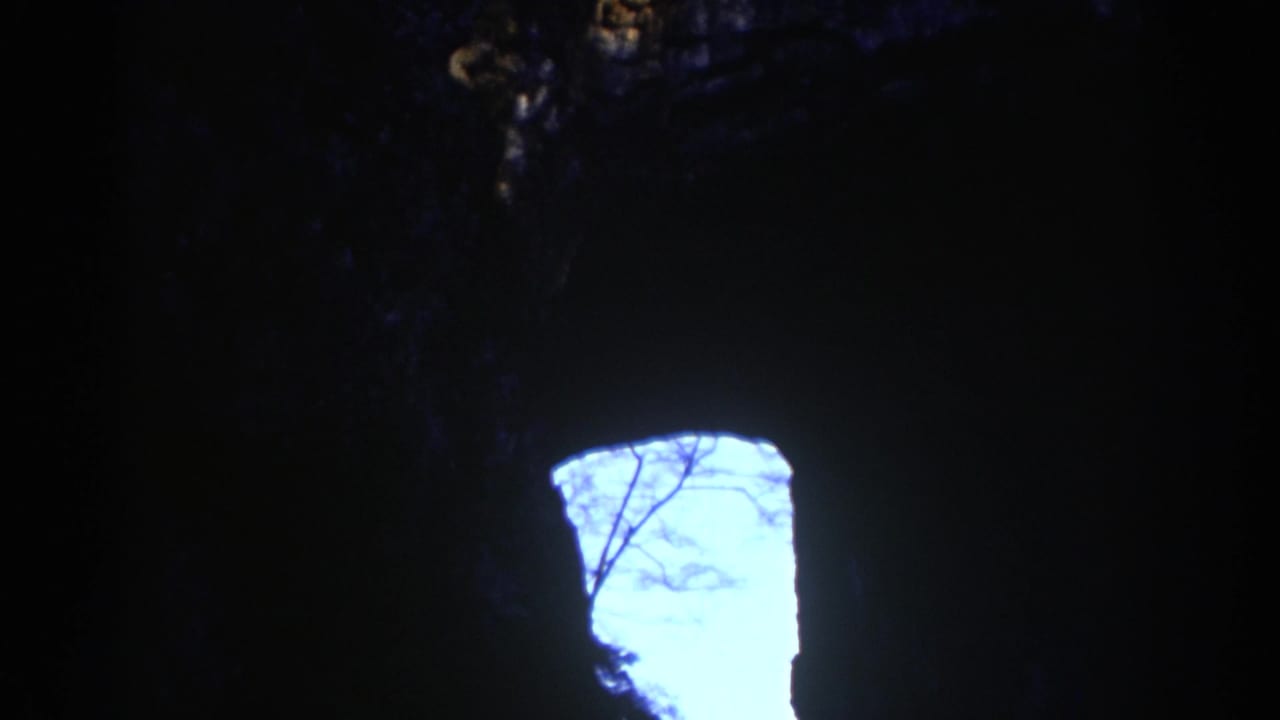 Large bright cave opening bordered by black rock and silhouetted tree branches.