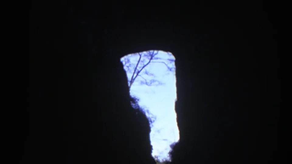 Handheld 8mm cave interior view showing an irregular bright opening, silhouetted branches, and dense surrounding shadow.