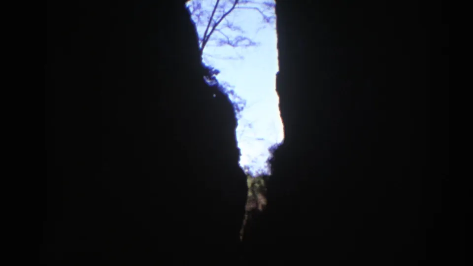 Final 1971 Richmond cave frame looking upward through a tall narrow opening, with blue sky and branches beyond dark rock walls.