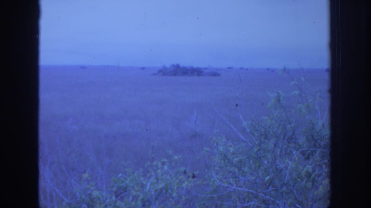 1972 Philadelphia-area 8mm view of a broad natural field with shrubs, distant trees, and dark window or frame edges.