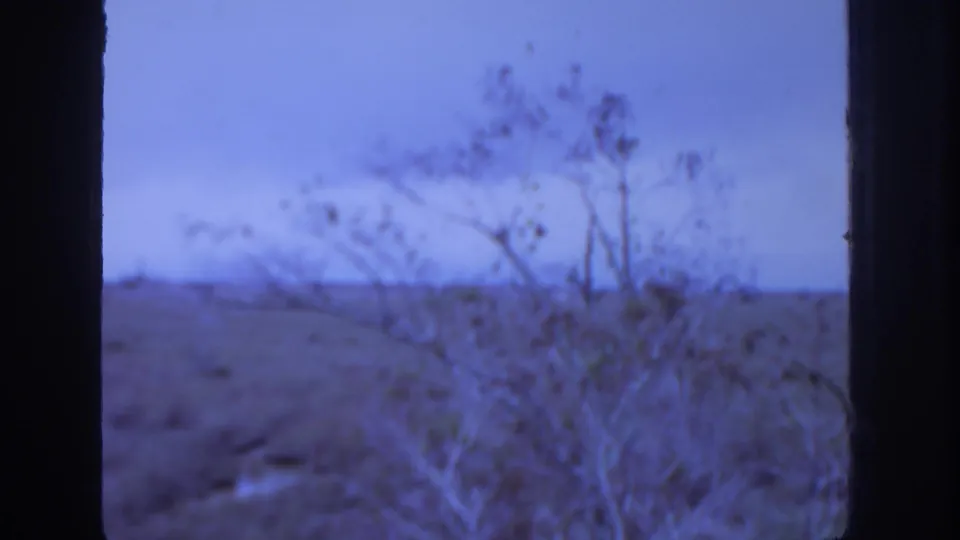 1972 8mm home-movie frame showing a soft, blue-toned field and bare tree branches through dark foreground edges.