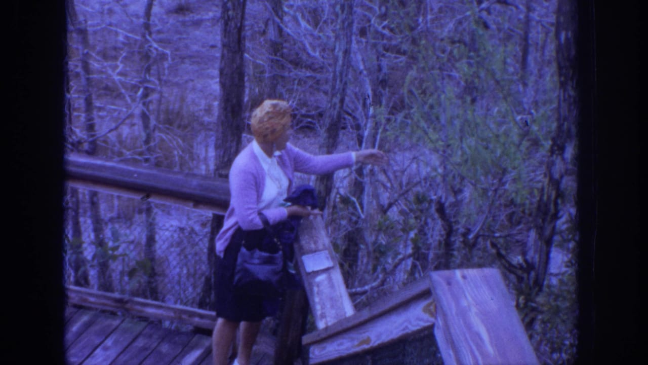 In 1972 Philadelphia home-movie footage, a woman on a wooded boardwalk reaches across the railing toward nearby foliage.