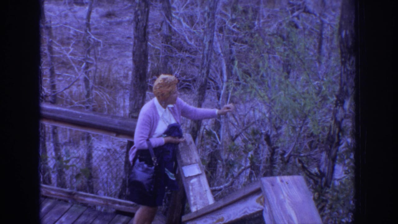 Woman leans near the boardwalk railing while extending her hand toward branches.
