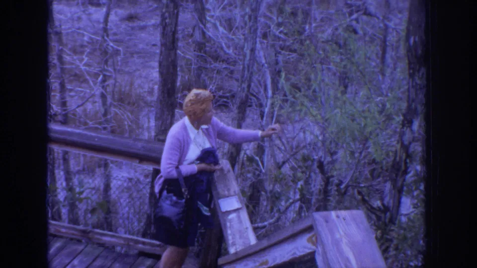 The woman remains beside the wooden rail in the wooded Philadelphia scene, reaching toward thin branches and leaves.