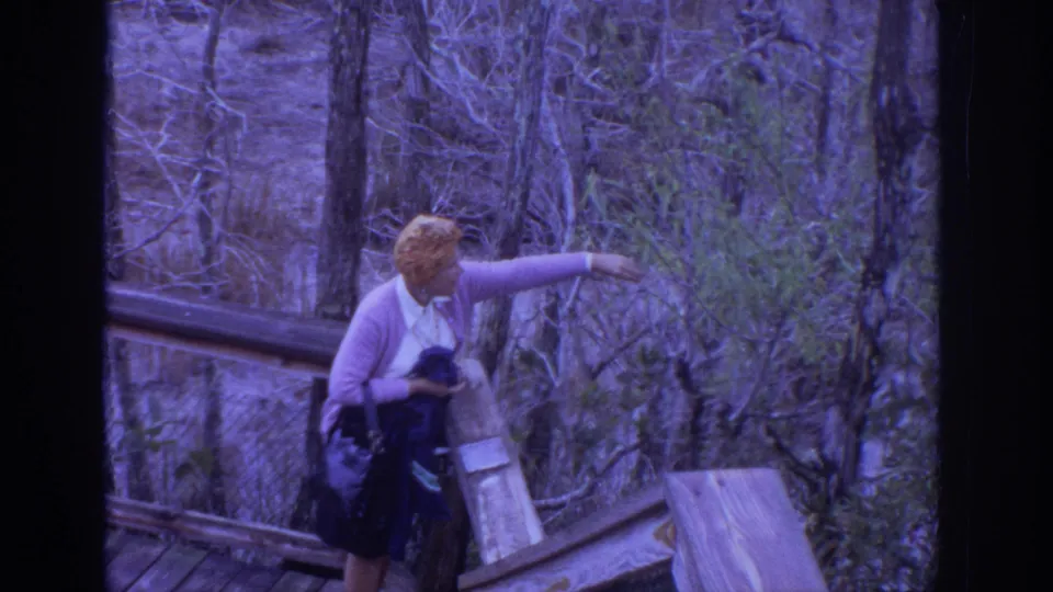 A purple-tinted 8mm frame shows the woman bending from the boardwalk rail toward nearby greenery in the wooded area.