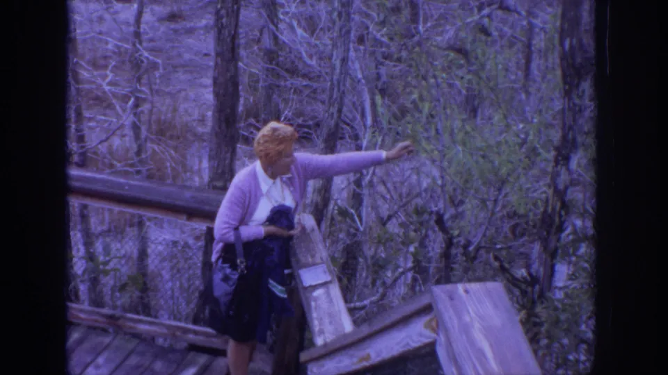 At the end of the clip, the woman stretches from the boardwalk toward shrubs and branches in the wooded Philadelphia setting.