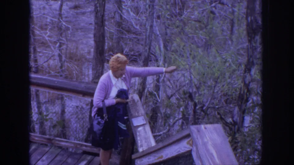 1972 Philadelphia-area home-movie frame showing an older woman in a pink cardigan pointing from a wooden boardwalk beside bare wetland trees.