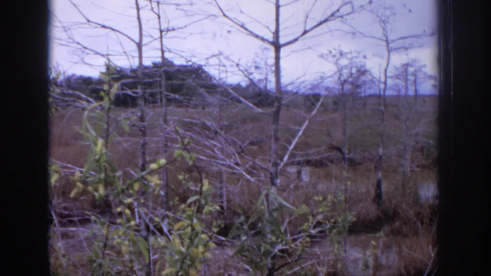 Home-movie wetland view near Philadelphia with leafless trees, green brush, still water, and dark film edges framing the scene.