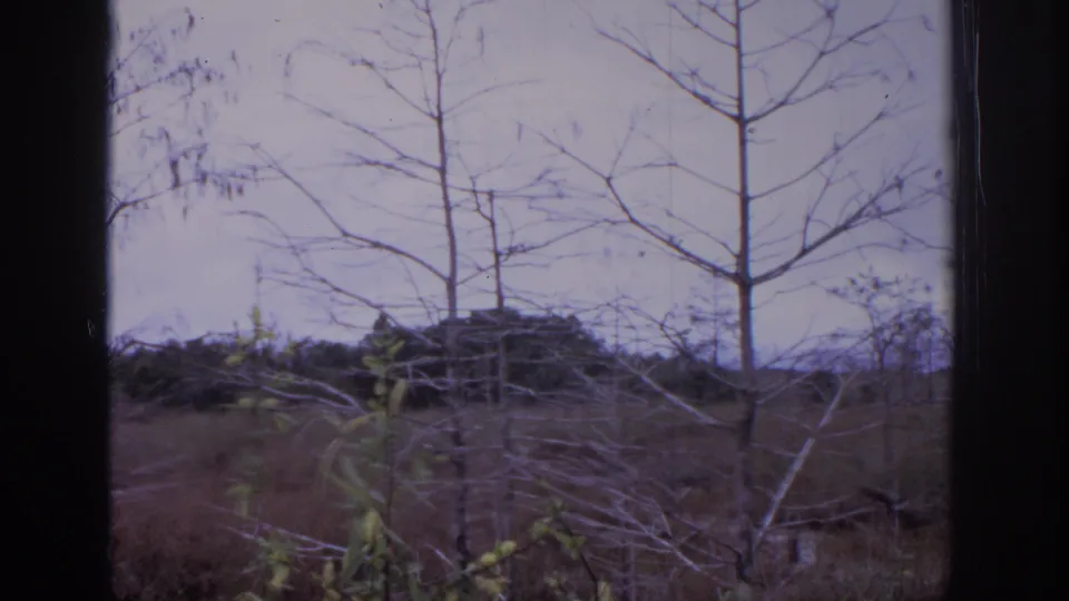1972 Philadelphia-area 8mm frame of a muted outdoor landscape with bare trees, dry grass, brush, and soft film fade.