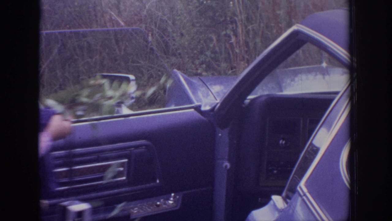 The blue 1970s sedan is seen with doors open as a hand carries a small plant near the car interior.