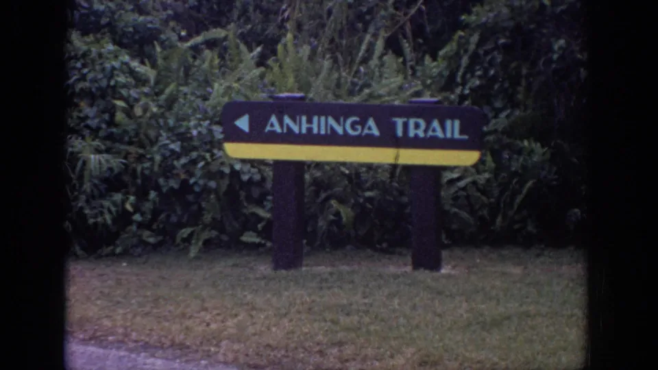 Black-and-yellow Anhinga Trail sign with a left-pointing arrow stands in grass before dense trees and ferns in an 8mm travel frame.