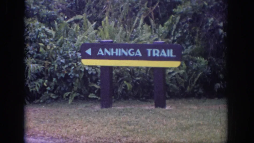 Anhinga Trail sign appears centered in a wooded setting, with a left arrow, yellow lower band, dark posts, grass, and heavy foliage behind it.