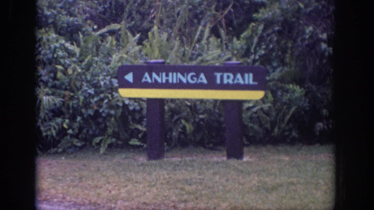 1972 8mm frame showing an Anhinga Trail sign beside dense foliage, with the stated location requiring review.