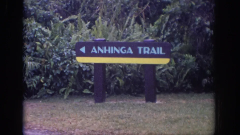 1972 8mm frame showing an Anhinga Trail sign beside dense foliage, with the stated location requiring review.