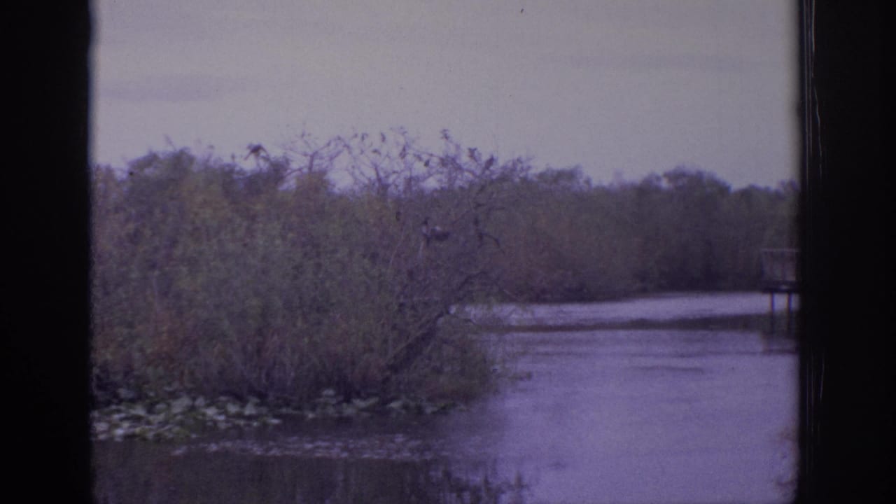 1972 Philadelphia-area 8mm frame showing still lake water, dense shoreline brush, and a distant tree line.
