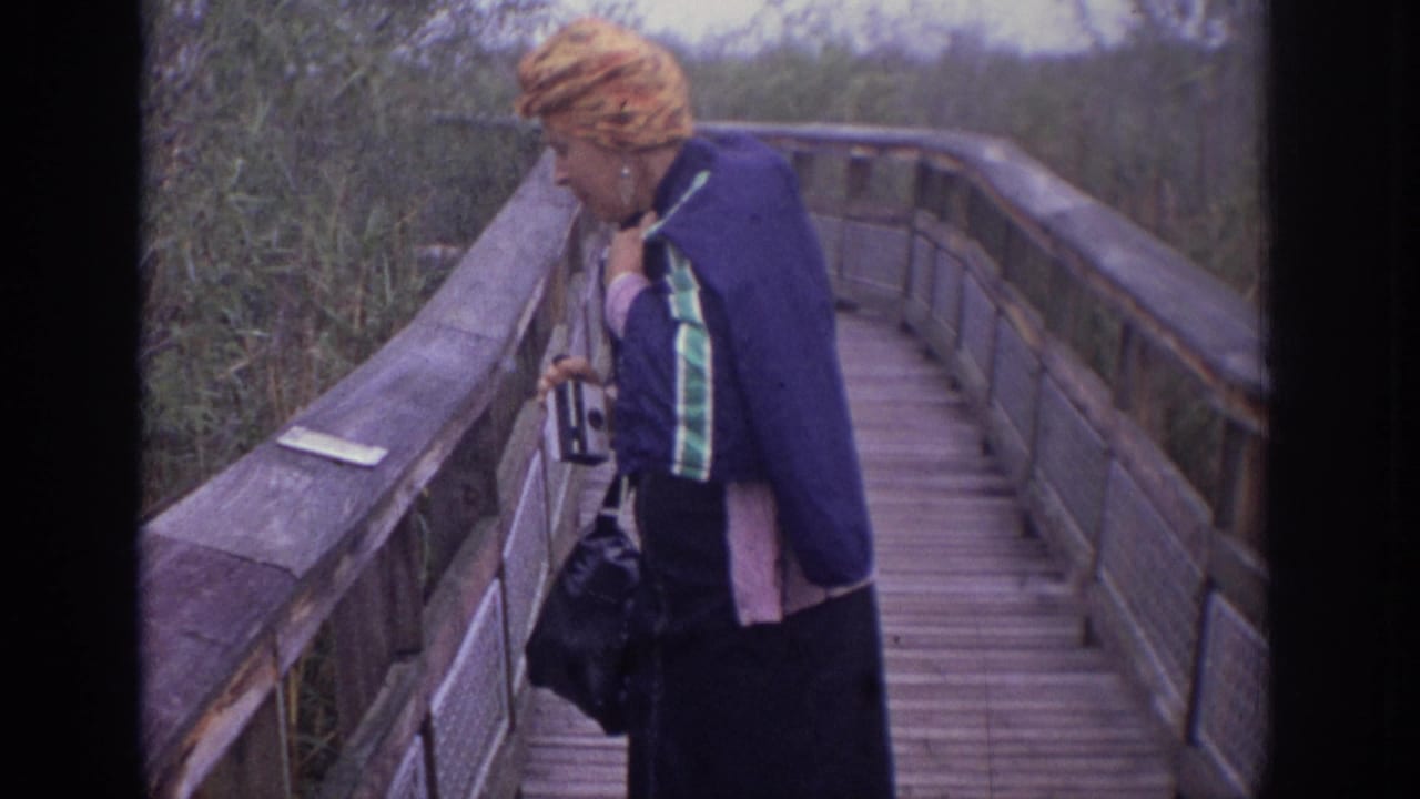 Woman standing on a wooden boardwalk bridge and looking down over the railing.