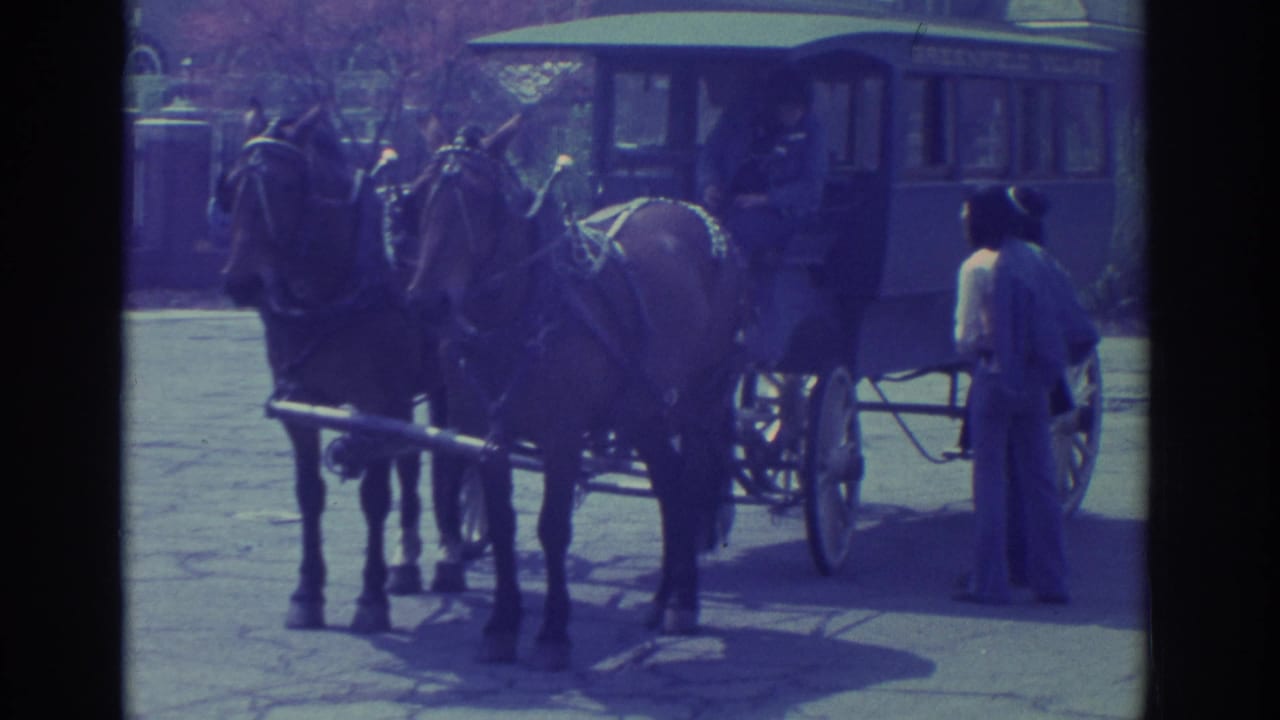 1970s 8mm footage shows two dark horses harnessed to a carriage, with a casually dressed man standing near the wheel at a tourist attraction.