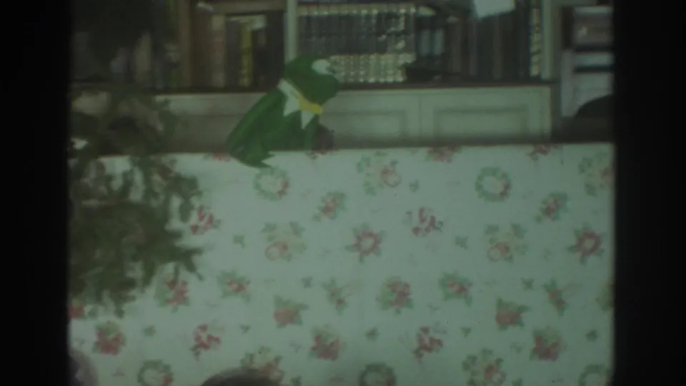 The final frame shifts to a Toronto home interior detail with books, floral wall covering, and a green Kermit-like figure near the shelf.