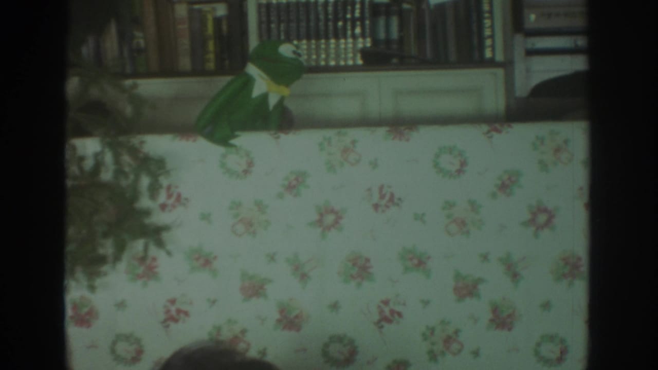 Green frog puppet with yellow tie above a floral-covered surface, with bookshelves behind.