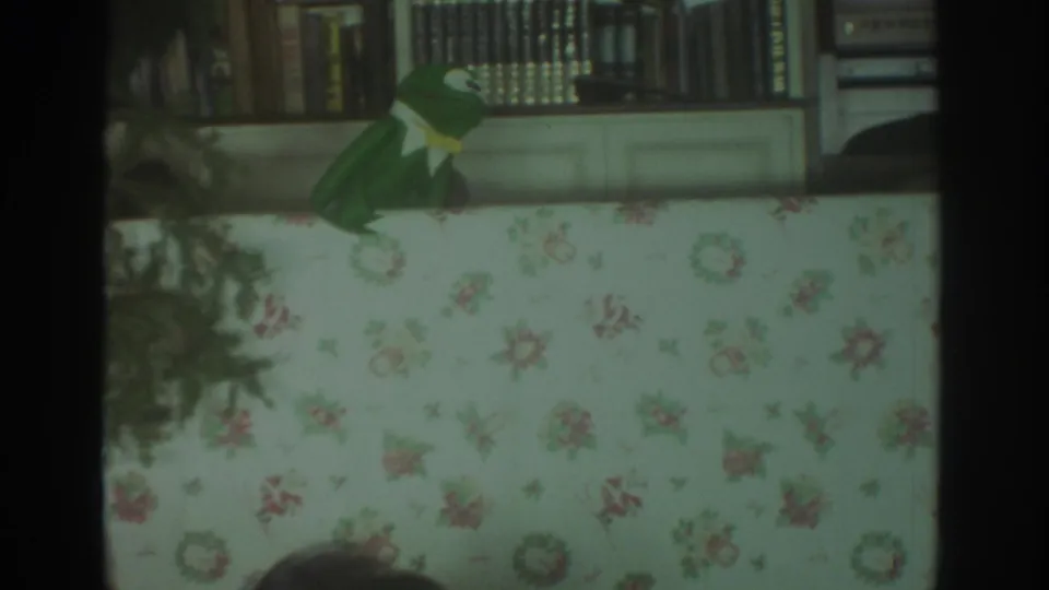 1972 Toronto home-movie frame showing a green frog puppet with a yellow tie near bookshelves and a floral table covering.