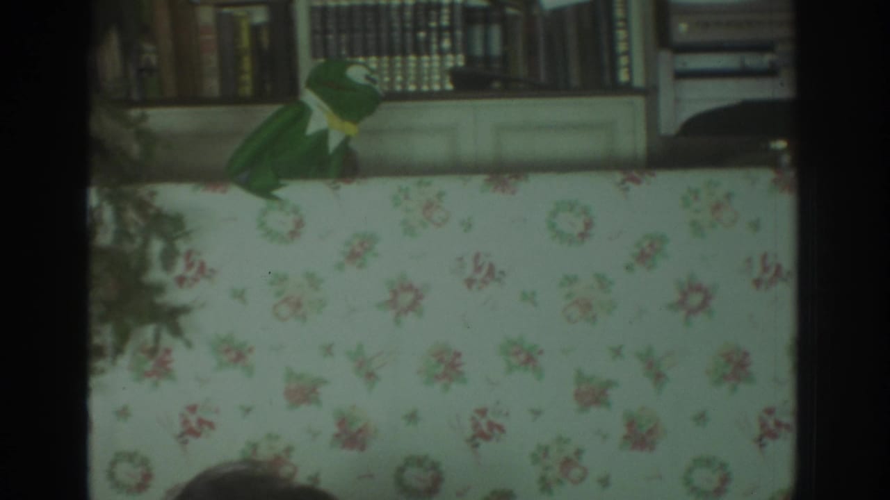 Green frog puppet on a floral surface with bookshelves and household items in the background.