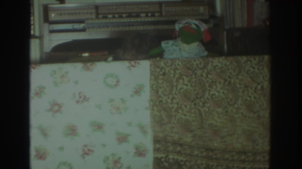1972 Toronto home-movie frame showing a green puppet partly behind a floral curtain with bookshelves and stereo equipment behind it.