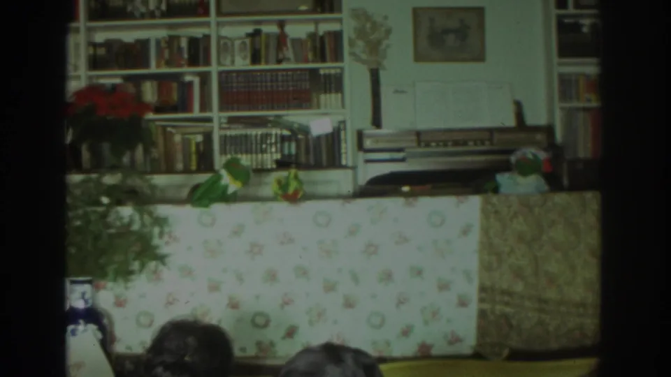 1972 Toronto home-movie frame showing a small puppet show behind a floral curtain in a living room with bookshelves, plant, and stereo equipment.