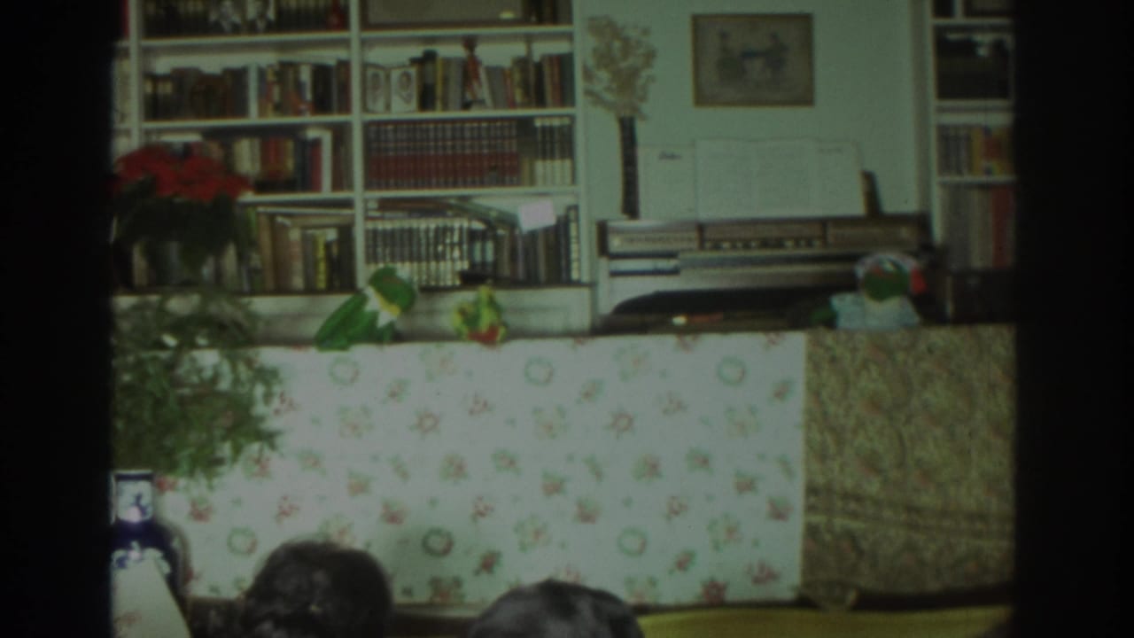 1972 Toronto home-movie frame showing frog-like puppets on a floral table with bookshelves and seated viewers partly visible.