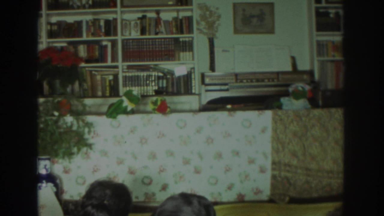Green frog-like puppets sit on a table with bookshelves and room decor behind them.