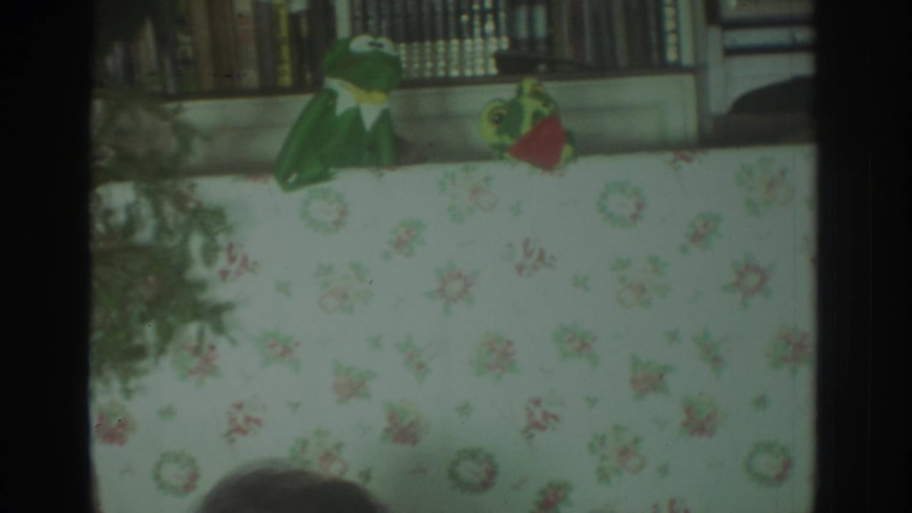 1972 Toronto home-movie frame showing two green puppets over a floral backdrop with shelves in the background.