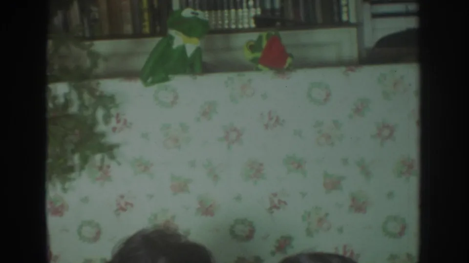 1972 Toronto frame of a puppet show with green figures, a red garment, floral backdrop, and home bookshelves.