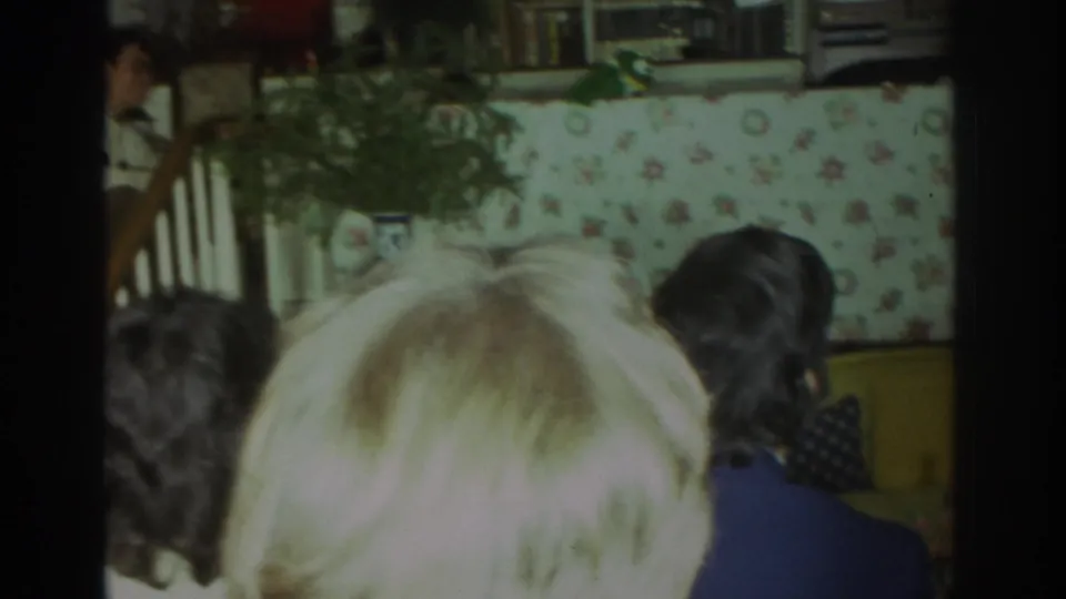 1972 Toronto home-movie frame showing seated viewers from behind watching green puppets in a private interior.