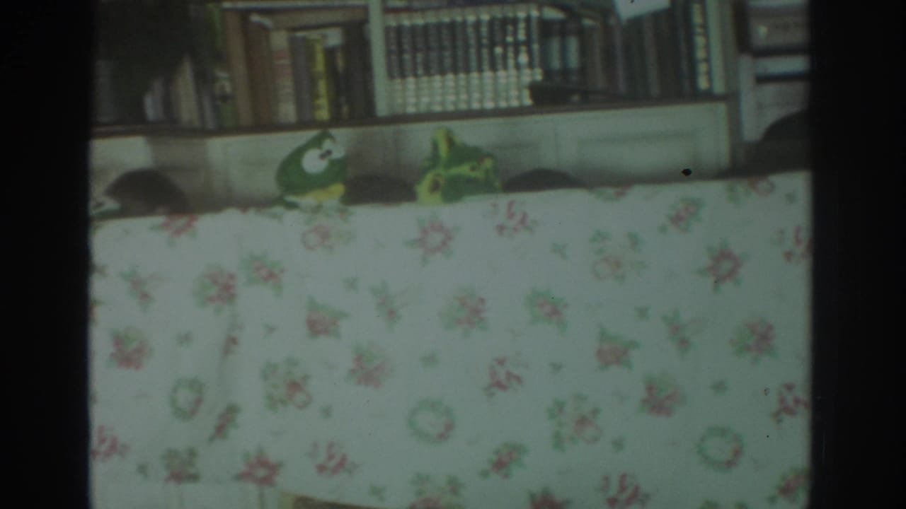 1972 Toronto home-movie frame showing green frog puppets emerging above a floral tablecloth in a living-room setting with bookshelves behind.