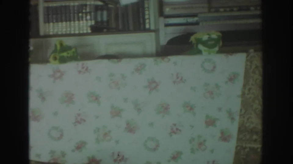 1972 Toronto home-movie frame with two handmade-looking green frog puppets peeking over a floral table covering before a domestic bookshelf backdrop.