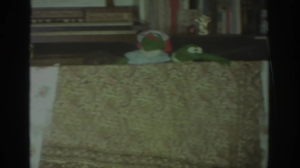 1972 Toronto home-movie frame showing a green puppet in a white bonnet beside another frog puppet behind patterned fabric in a living room.