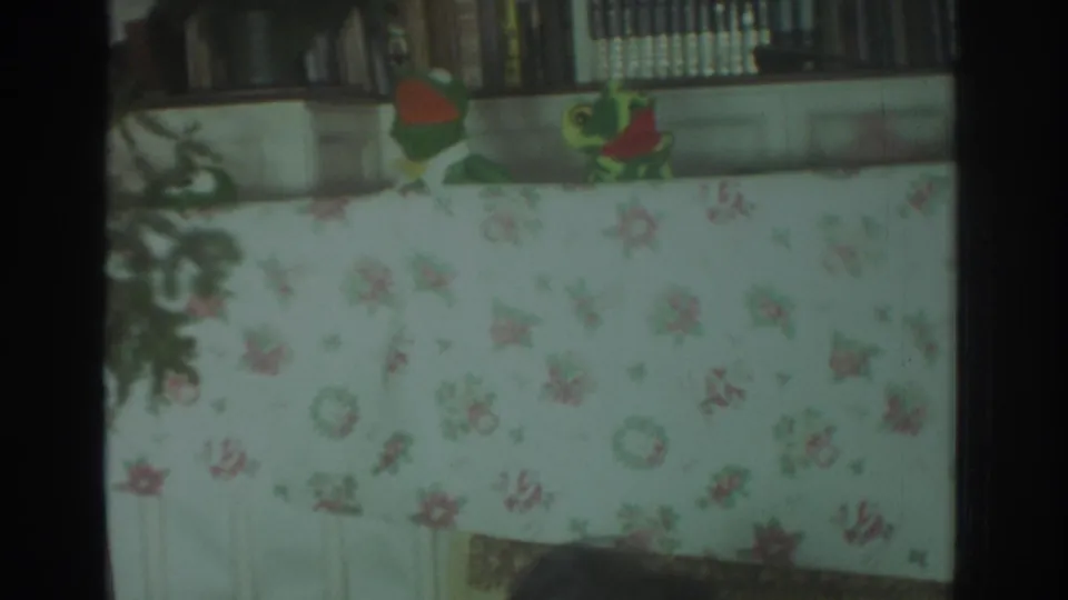 The two frog puppets face inward above a floral tablecloth in the Toronto 1972 home-movie interior.