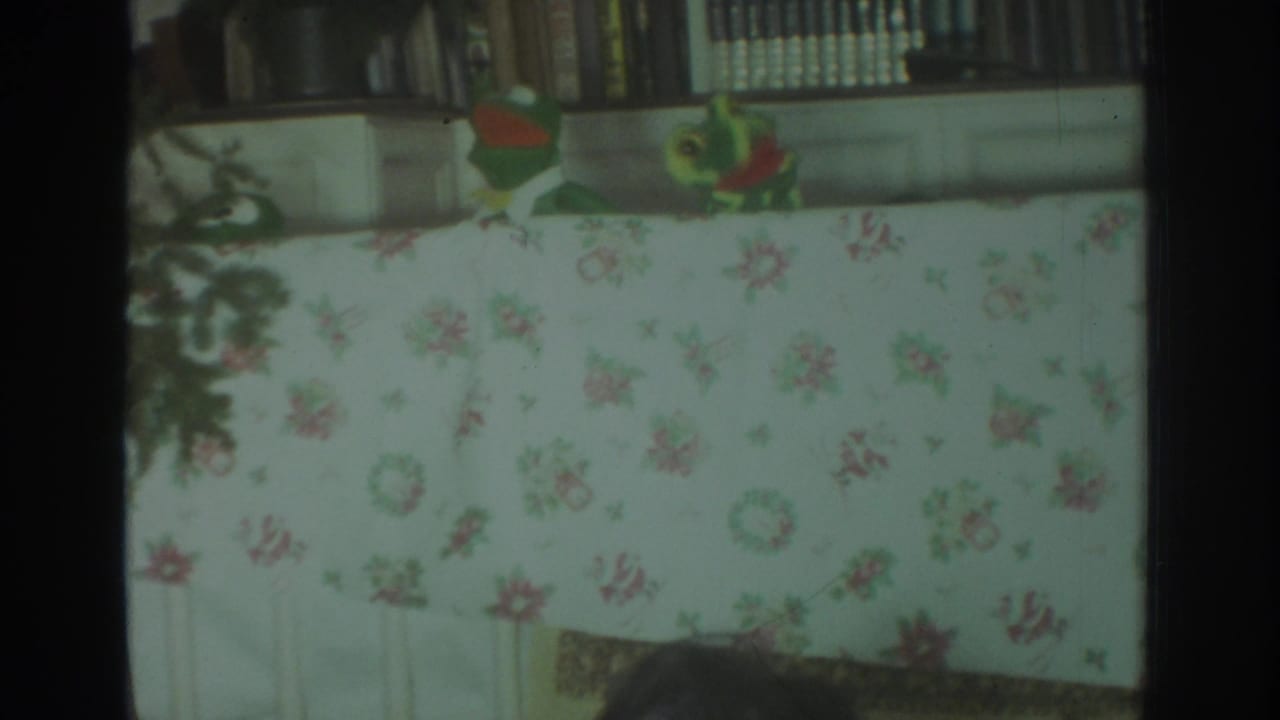 In this 1972 Toronto home-movie frame, green hand puppets perform behind a floral tablecloth with bookshelves in the background.