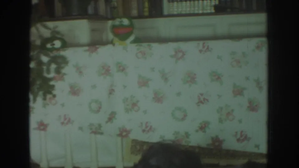 A green hand puppet is visible above the floral tablecloth in a softly focused 1972 Toronto living-room scene.