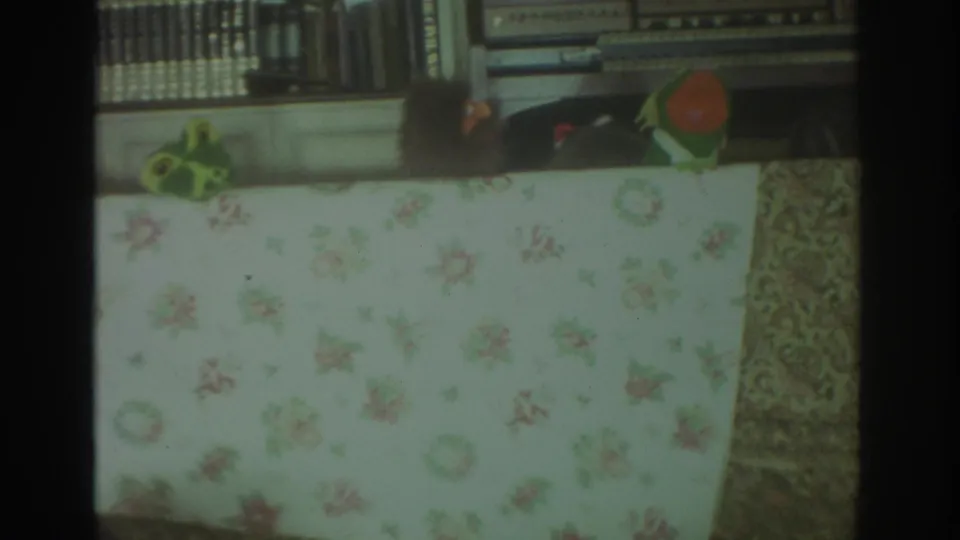 Multiple hand puppets appear behind the floral tablecloth in a 1972 Toronto home-movie puppet-show frame.