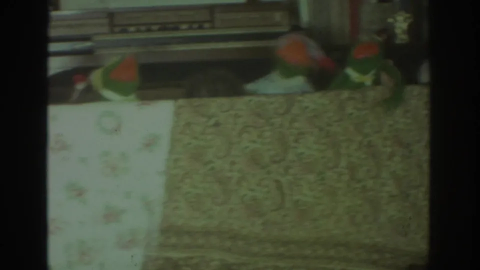 Green hand puppets continue the 1972 Toronto home performance behind a floral tablecloth, with patterned furniture at right.