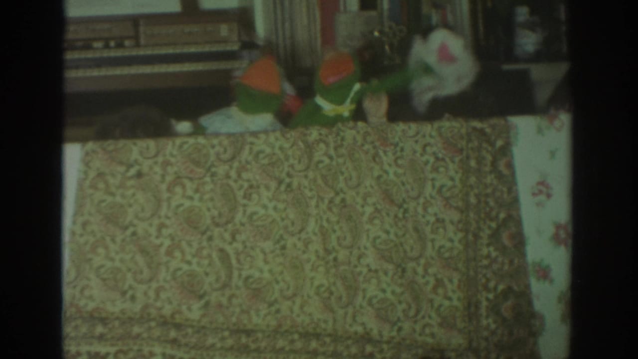 Colorful hand puppets appear behind a paisley tablecloth in a room with shelves behind them.