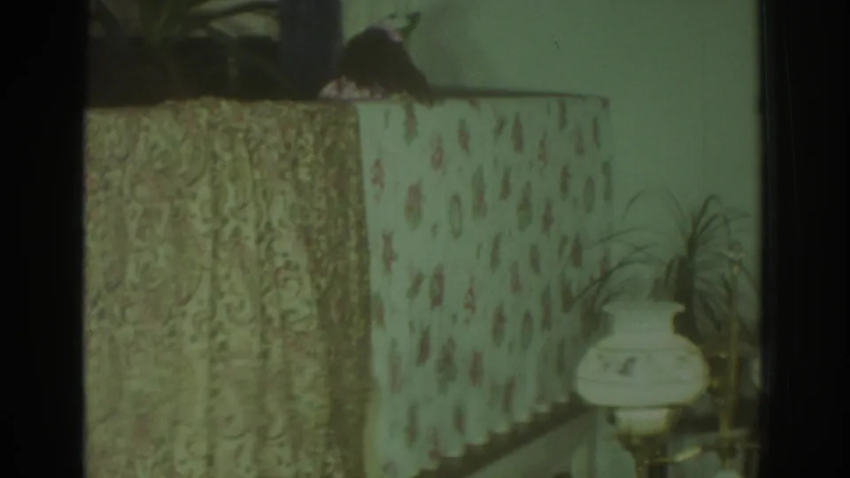 1972 Toronto 8mm frame showing a dark puppet behind floral fabric panels with a plant and lamp at right.