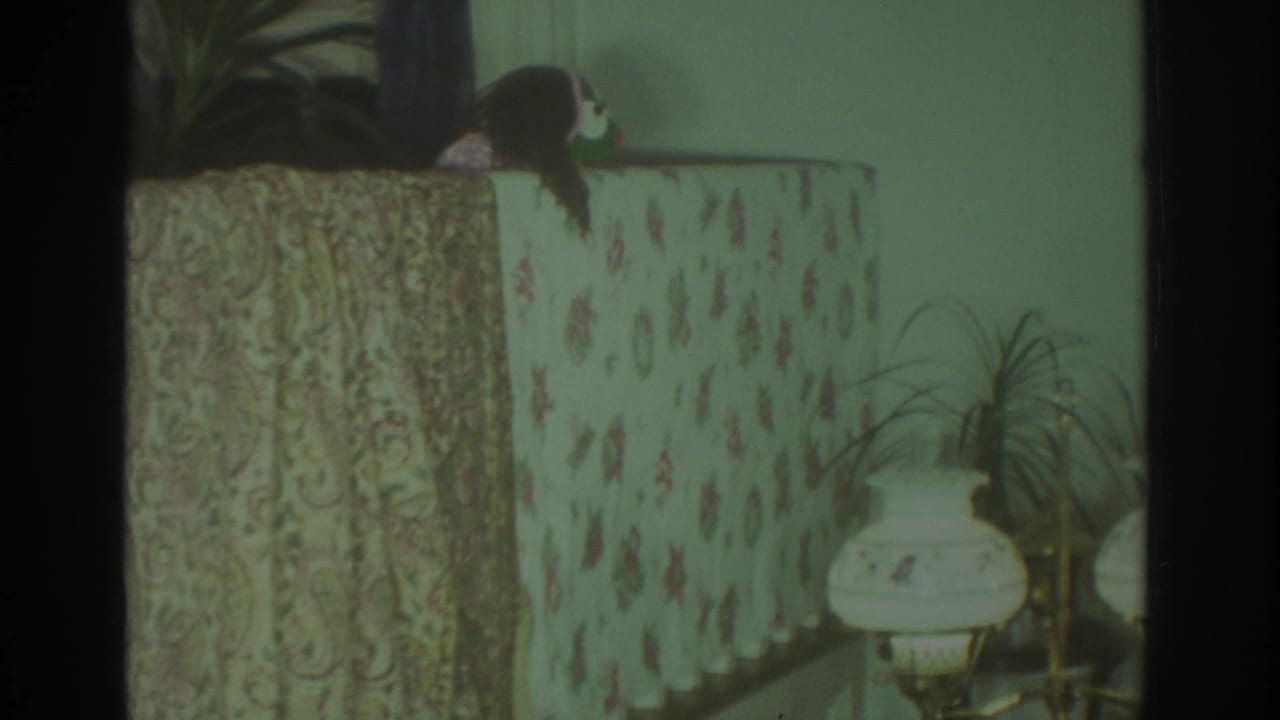 In a 1972 Toronto home interior, an animal puppet appears above a floral sofa covering beside houseplants and a white lamp.