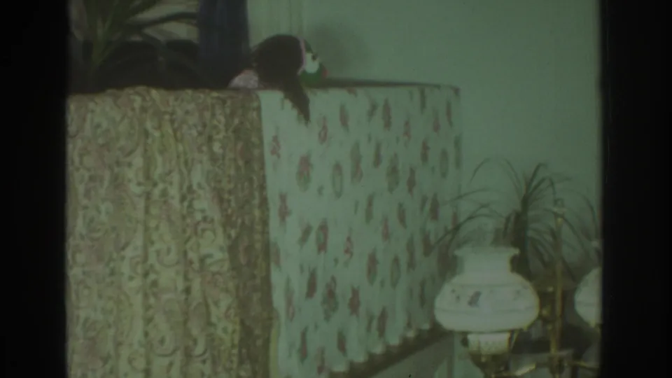In a 1972 Toronto home interior, an animal puppet appears above a floral sofa covering beside houseplants and a white lamp.